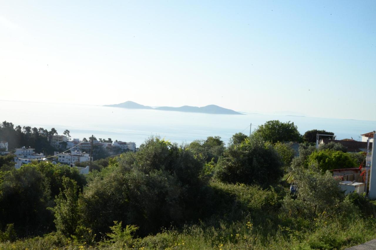 Despoina Apartment Πατητήρι Εξωτερικό φωτογραφία