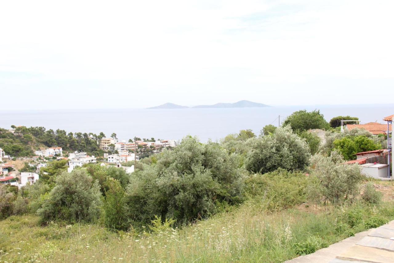 Despoina Apartment Πατητήρι Εξωτερικό φωτογραφία