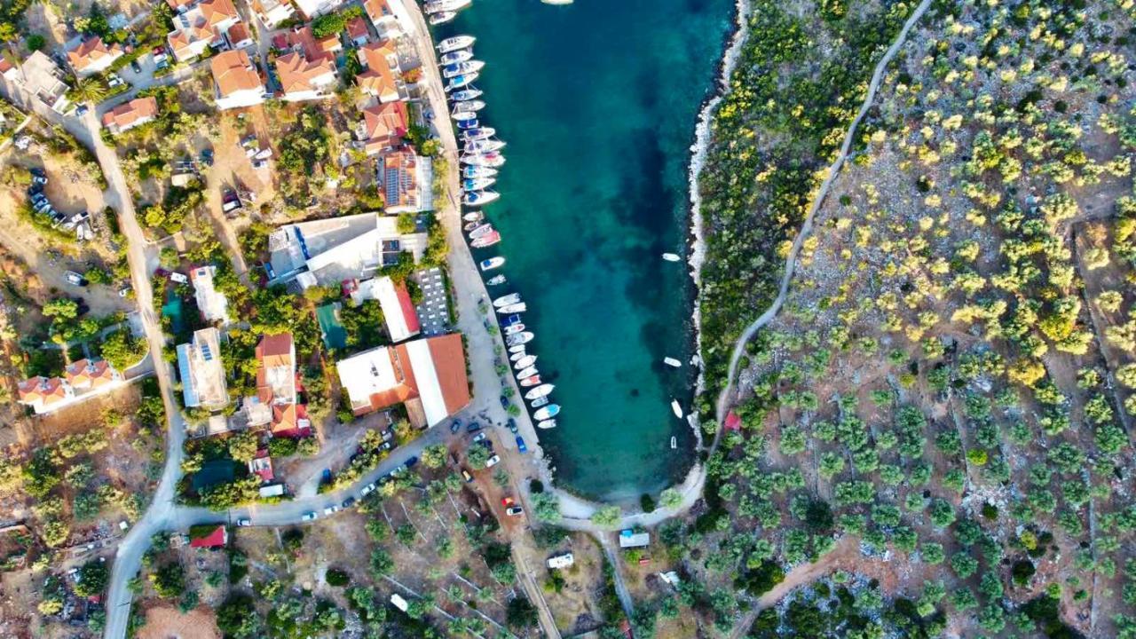 Despoina Apartment Πατητήρι Εξωτερικό φωτογραφία